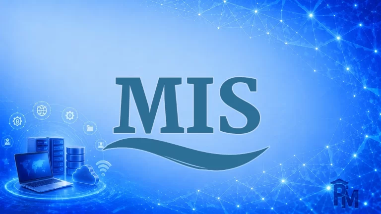 سیستم اطلاعات مدیریت (MIS)