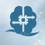 دوسوتوانی سازمانی