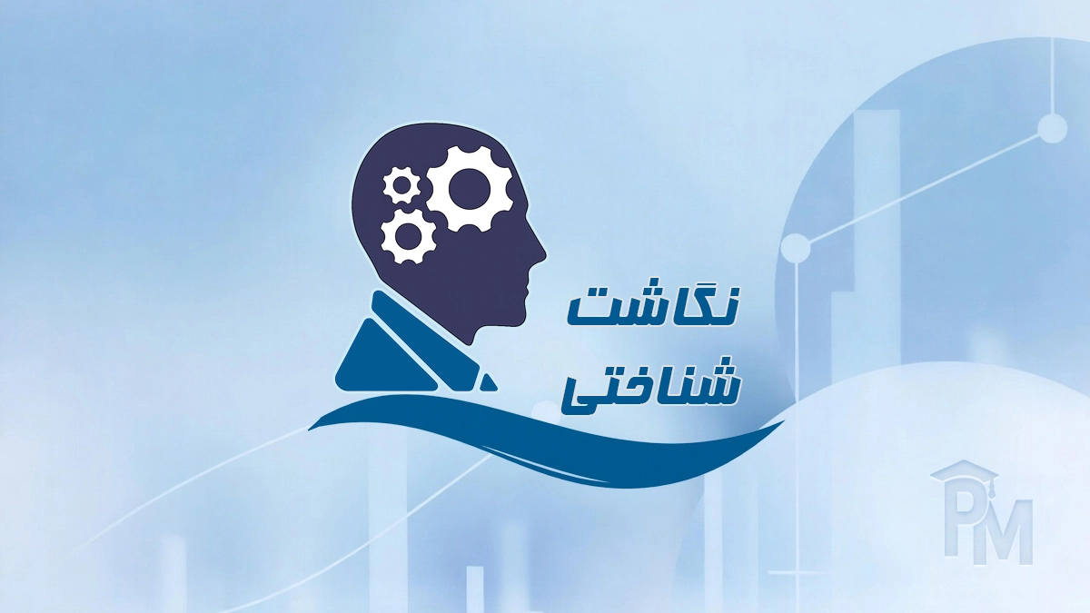 نگاشت شناختی