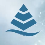 سطوح سازمان