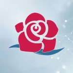 زیبایی‌شناسی سازمانی