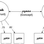 سازه (Construct)