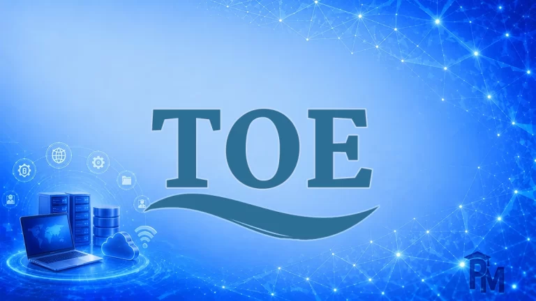 چارچوب فناوری-سازمان-محیط (TOE)